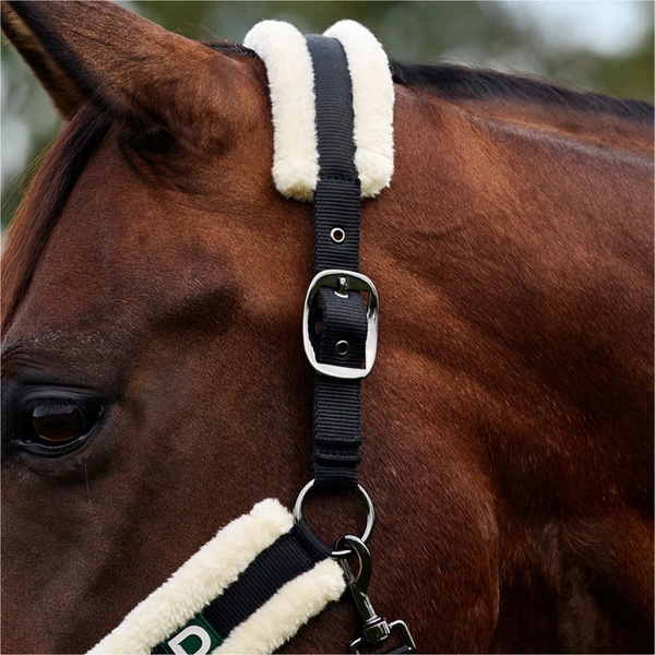 2026 Dublin Soft Fit Headcollar 1031034 - Black